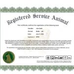 004 Service Dog Certificate Template Frightening Ideas Id Card Free   Free Printable Service Dog