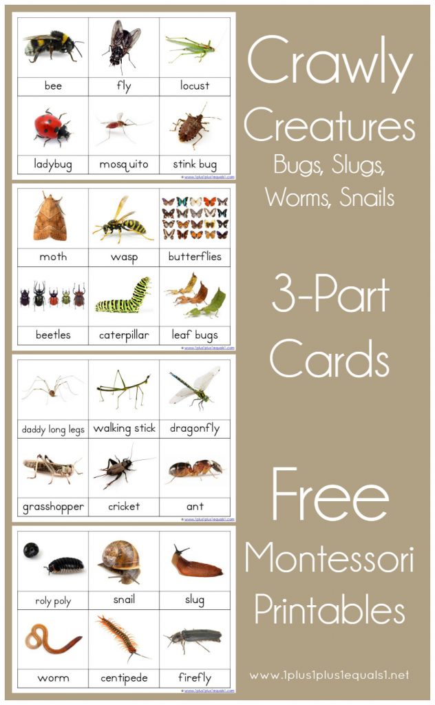 1-1-1-1-montessori-printables-free-montessori-printables-free