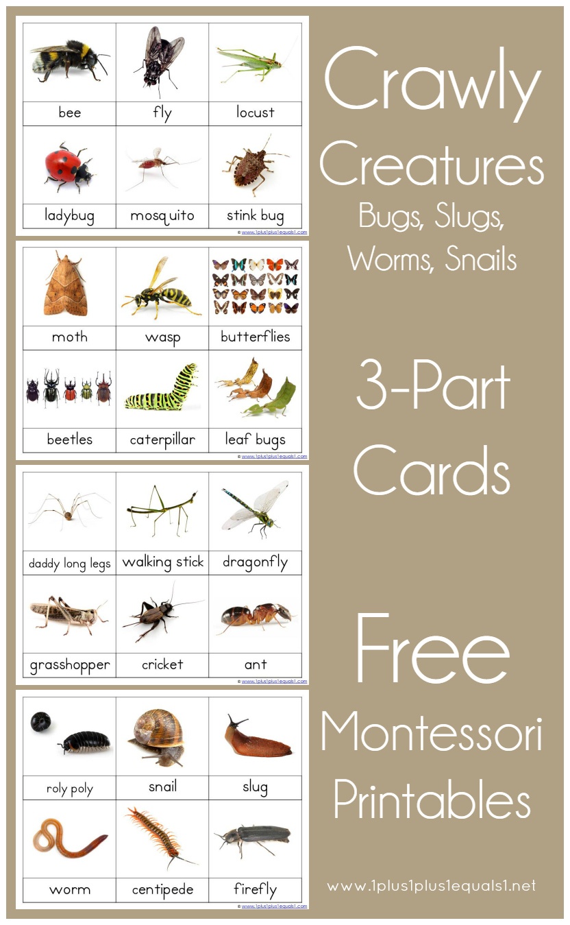 1+1+1=1..montessori Printables - Free Montessori Printables