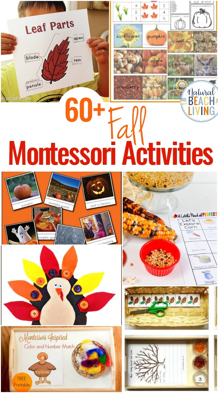 Free Montessori Printables