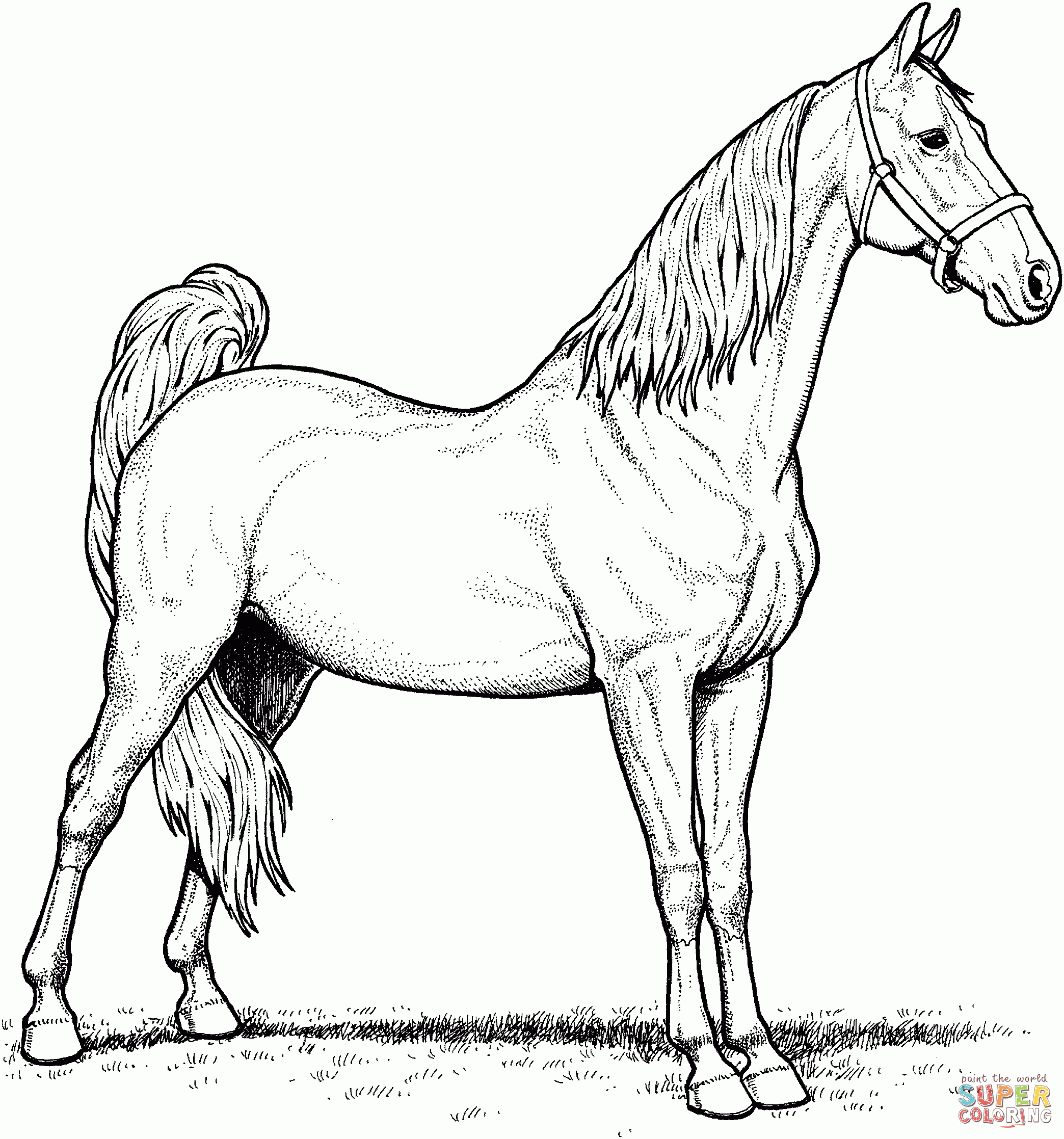 American Saddlebred Mare Horse Coloring Page | Free Printable - Free Horse Printables