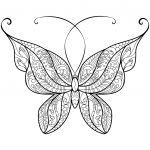 Butterfly Coloring Pages | Free Coloring Pages   Butterfly Free Printable Coloring Pages