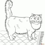 Cat Coloring Pages | Animal Coloring Pages | Cat Coloring Page   Cat Coloring Pages Free Printable