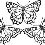 Coloring Book World ~ Monarch Butterfly Coloring Page Freetable   Butterfly Free Printable Coloring Pages