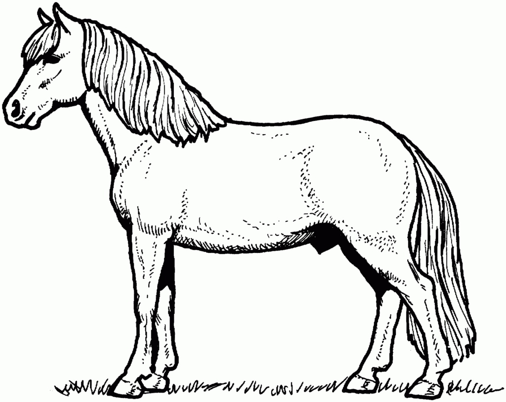 Coloring ~ Free Horse Coloring Pages Astonishing Sheets Photo Ideas - Free Horse Printables