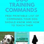 Doberman Dog Training Tips In Hindi And Pics Of Dog Training Tips   Free Printable Service Dog