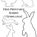 Download Your Free Printable Rabbit Templates Over On My Blog! | T   Free Printable Rabbit Template