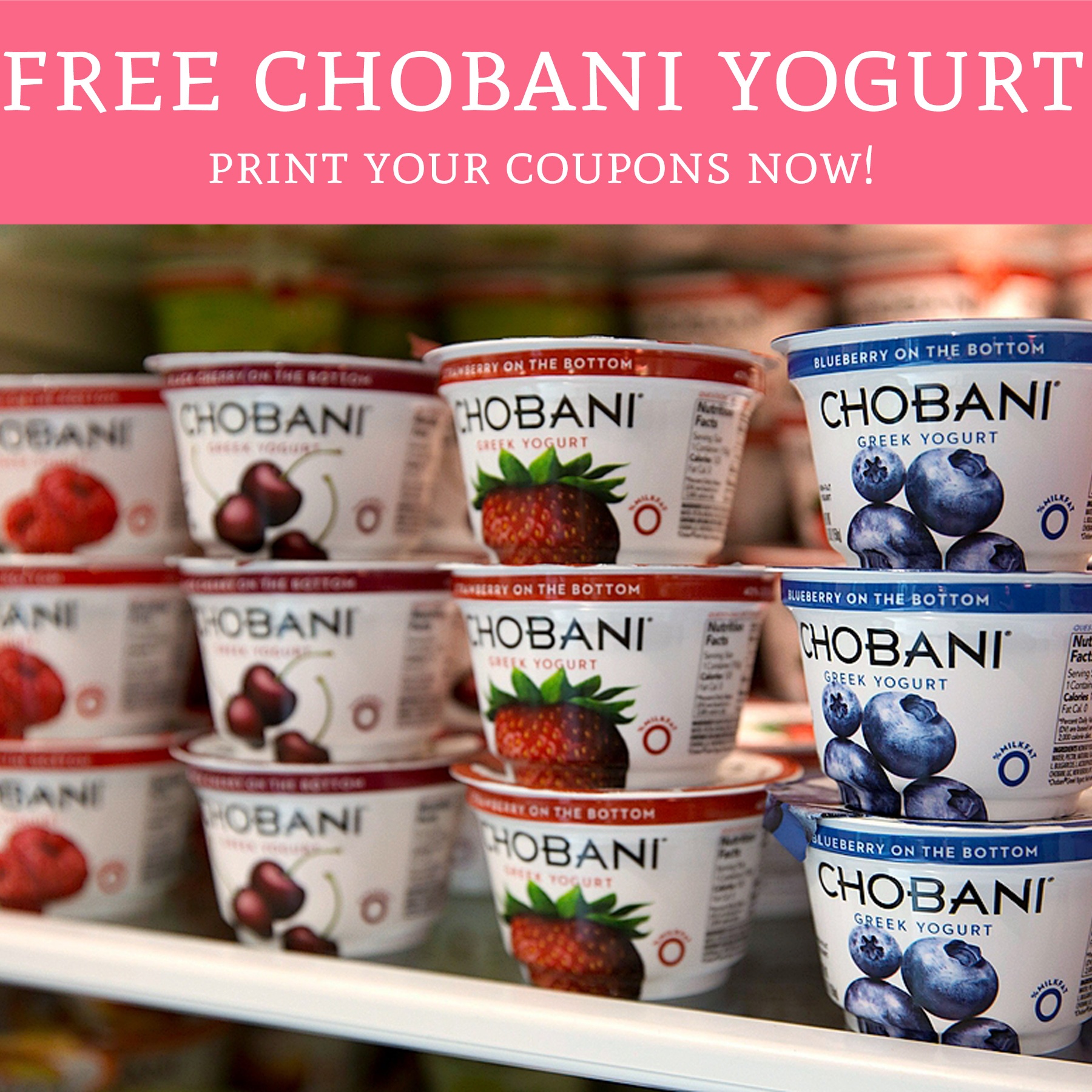 Free Chobani Yogurt! Print Your Coupons Now! - Deal Hunting Babe - Free Printable Chobani Coupons