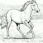 Free Horse Coloring Pages   Free Horse Printables