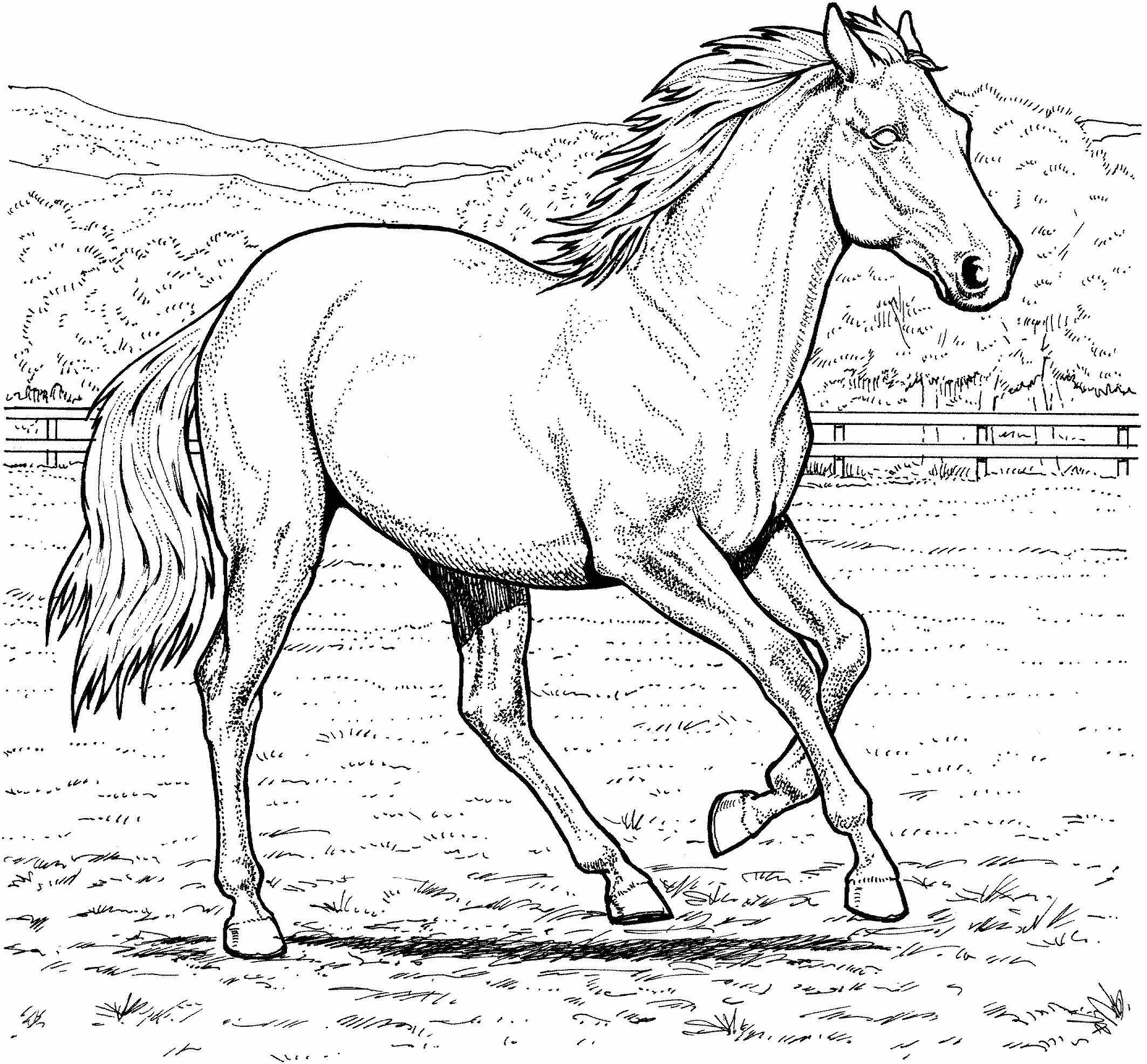 Free Horse Coloring Pages - Free Horse Printables