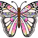 Free Pictures Of Butterflies | Free Download Best Free Pictures Of   Free Printable Images Of Butterflies