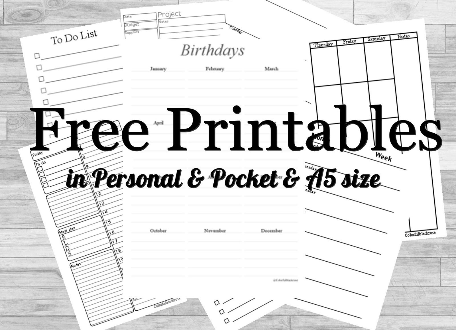 Free Planner Printables For Your Filofax / Kikki K / Websters Pages - Free Filofax Printables
