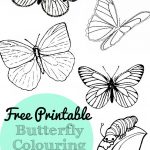 Free Printable Butterfly Colouring Pages   In The Playroom   Free Printable Images Of Butterflies
