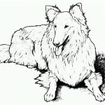 Free Printable Dog Coloring Pages For Kids   Free Printable Dog Coloring Pages