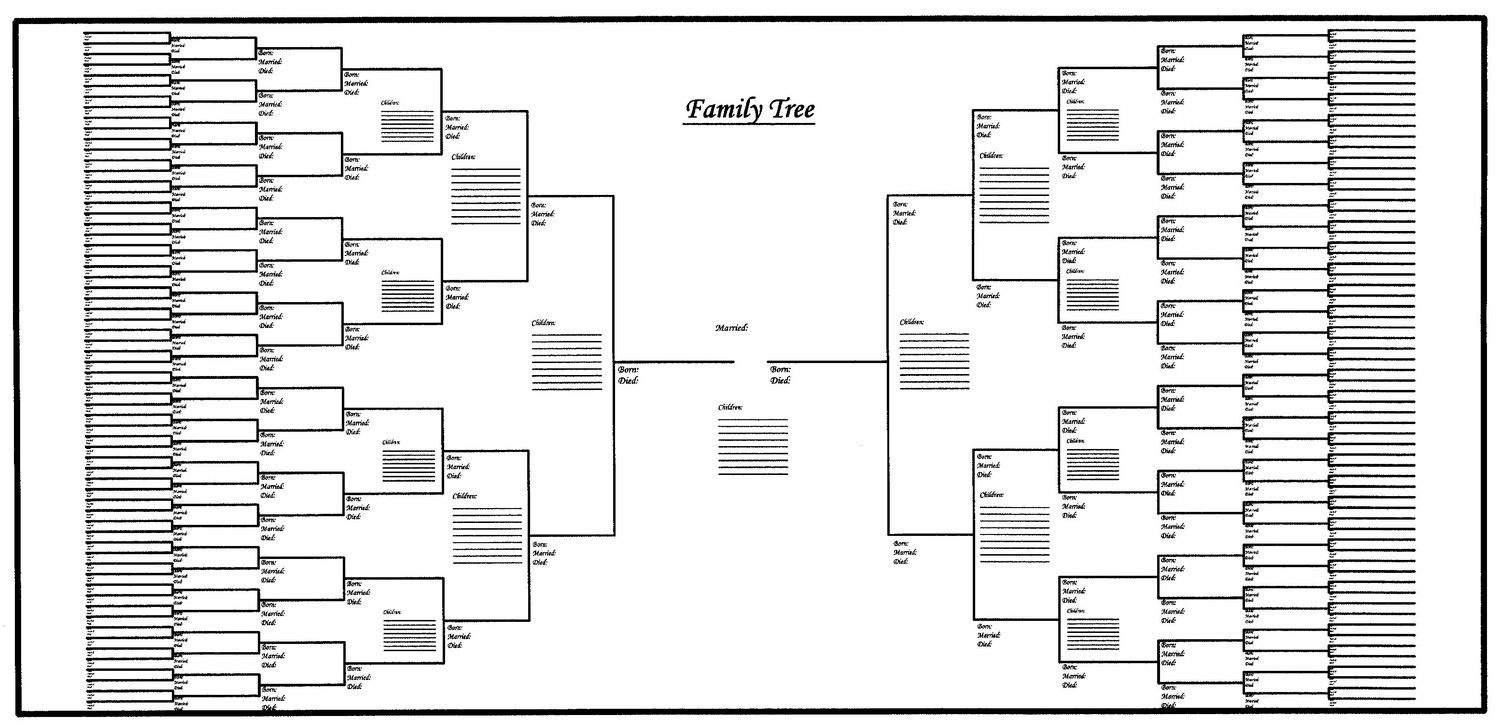 Blank Family Trees Templates And Free Genealogy Graphics  Free