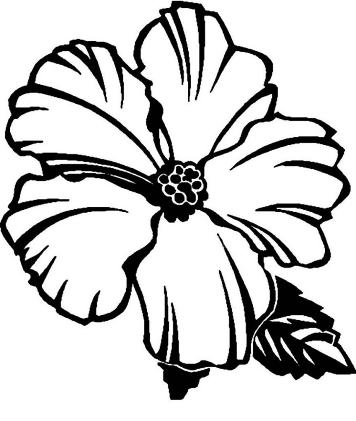 Free Printable Hibiscus Coloring Pages