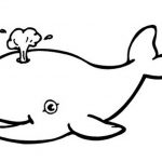 Free Printable Whale Coloring Pages For Kids | Ko | Whale Coloring   Free Printable Whale Coloring Pages