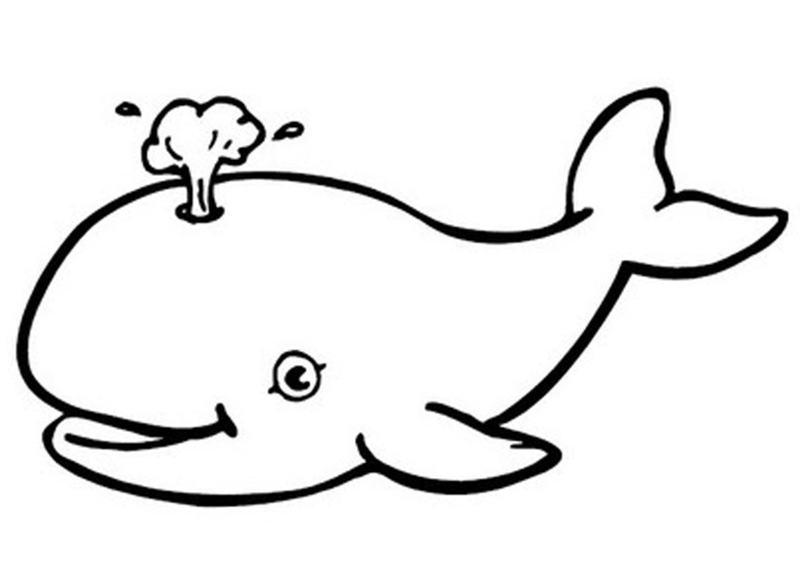 Free Printable Whale Coloring Pages For Kids | Ko | Whale Coloring - Free Printable Whale Coloring Pages