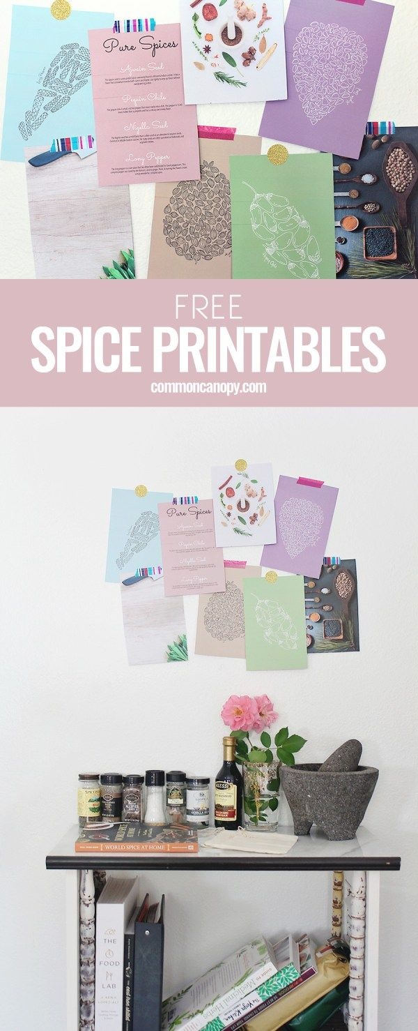 Free Spice Poster Printables For Download | Free Printables - Free Printable Sud