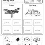 Freebie! No Prep Kindergarten Science Doodle Printables | T E A C H   Free Printable Science Lessons