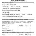Heart Rate Activity Worksheet   Belle Vernon Area School District   Free Printable Health Worksheets For Middle School