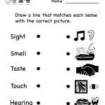 Kindergarten Five Senses Worksheet Printable | Teaching Ideas   Free Printable Science Lessons