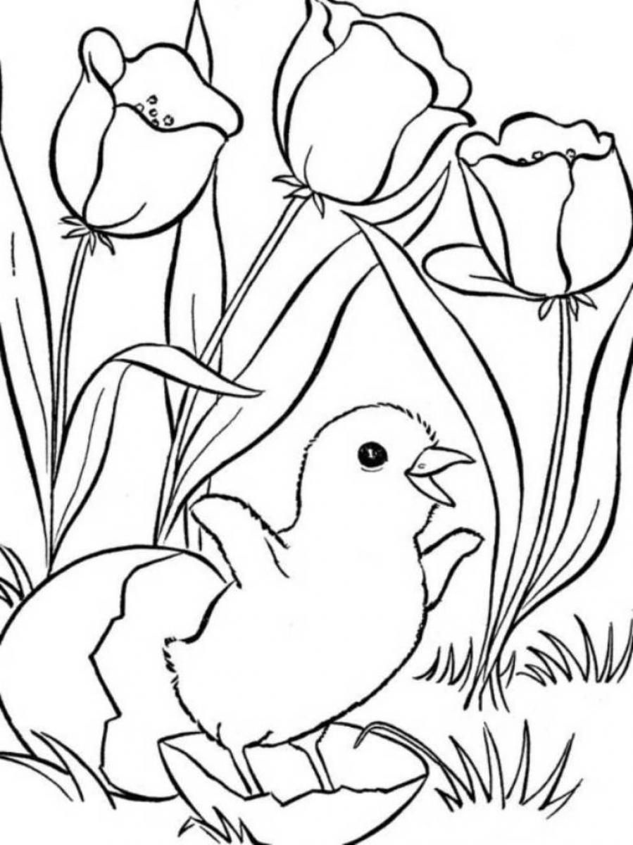 Spring Coloring Pages, Printable Spring Coloring Pages, Free Spring - Free Printable Spring Coloring Pages For Kindergarten