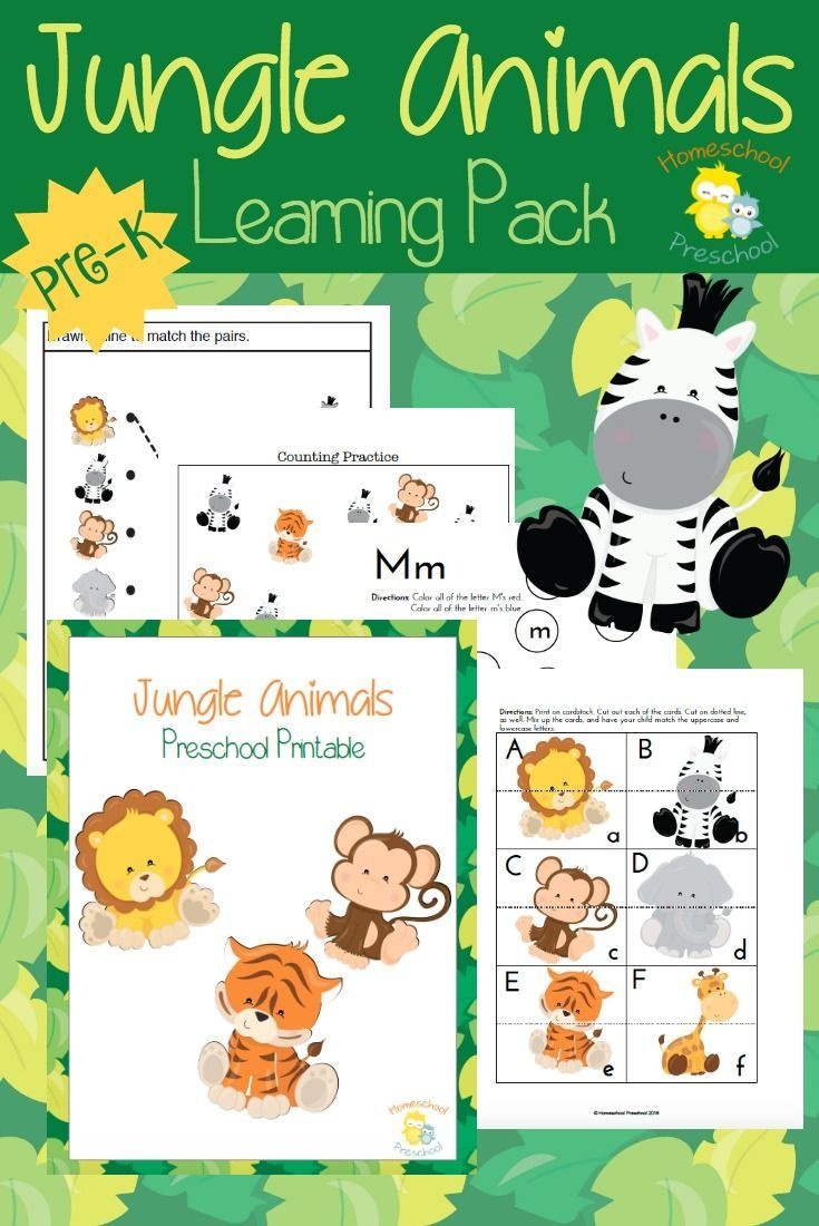 Teach Preschool With Free Jungle Animal Printables | Homeschool - Free Jungle Printables