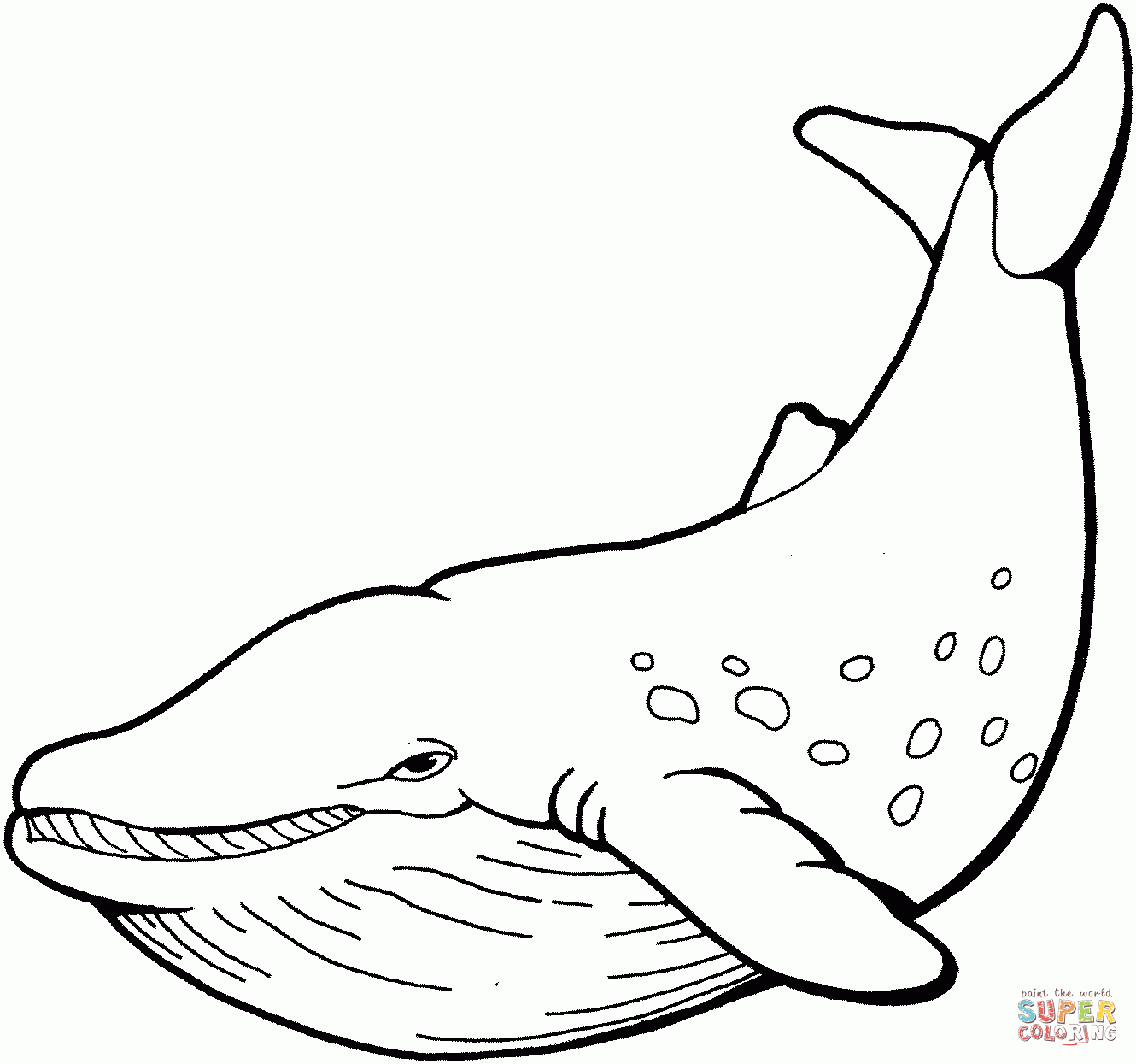 Whale Coloring Page | Free Printable Coloring Pages - Free Printable Whale Coloring Pages