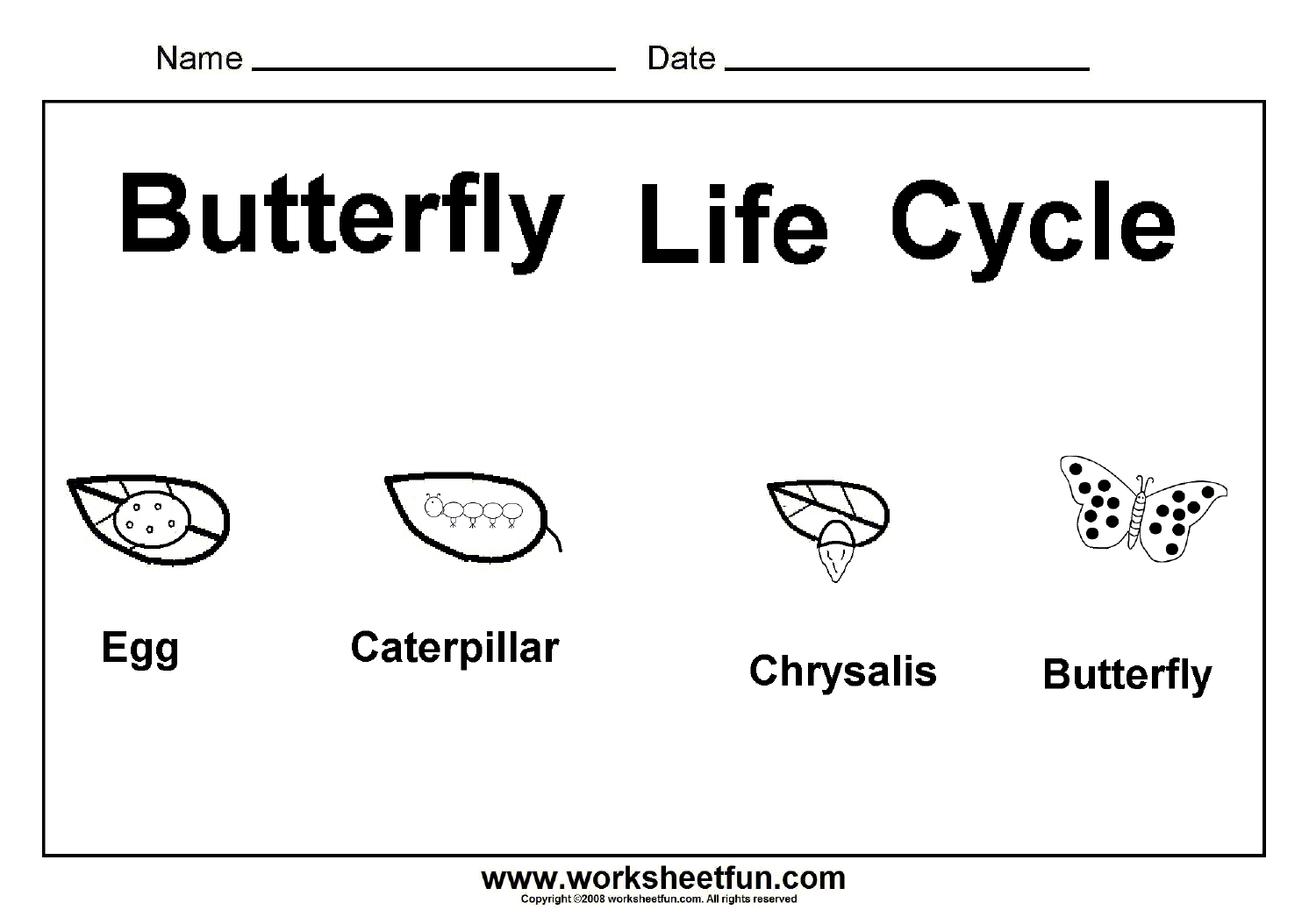 Worksheet : Butterfly Life Cycle One Free Printable Science - Free Printable Science Worksheets