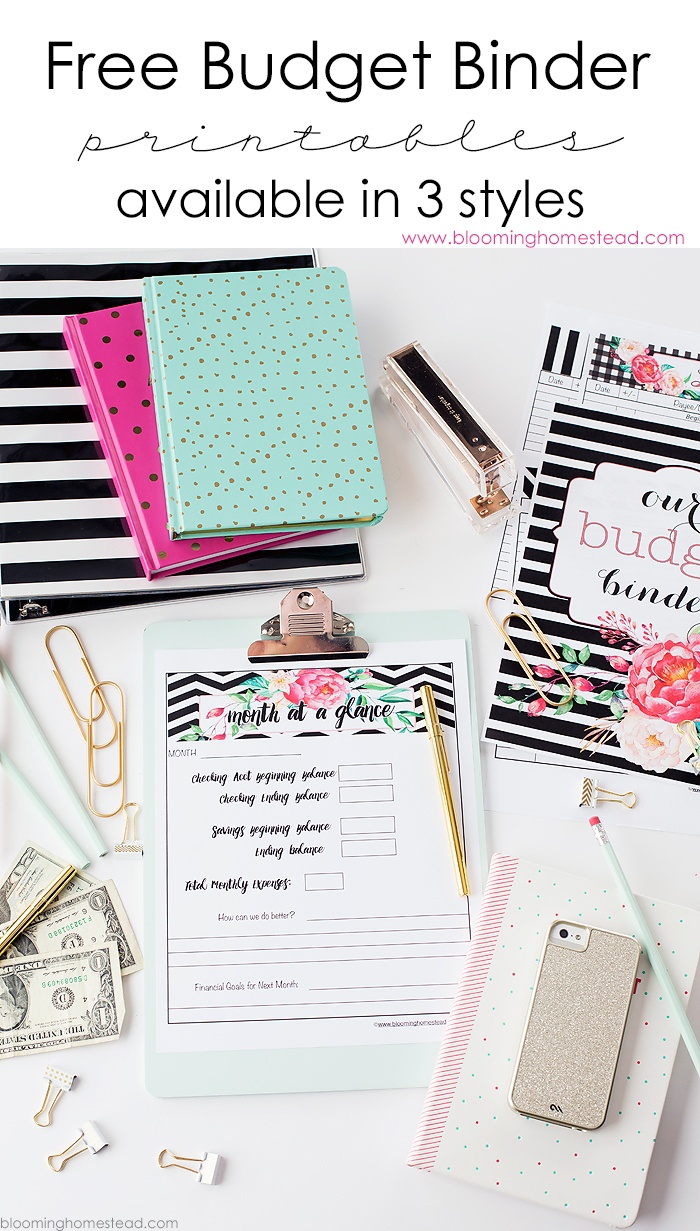11 Free Budget Printables To Help Get Your Money Under Control - Free Printable Financial Binder