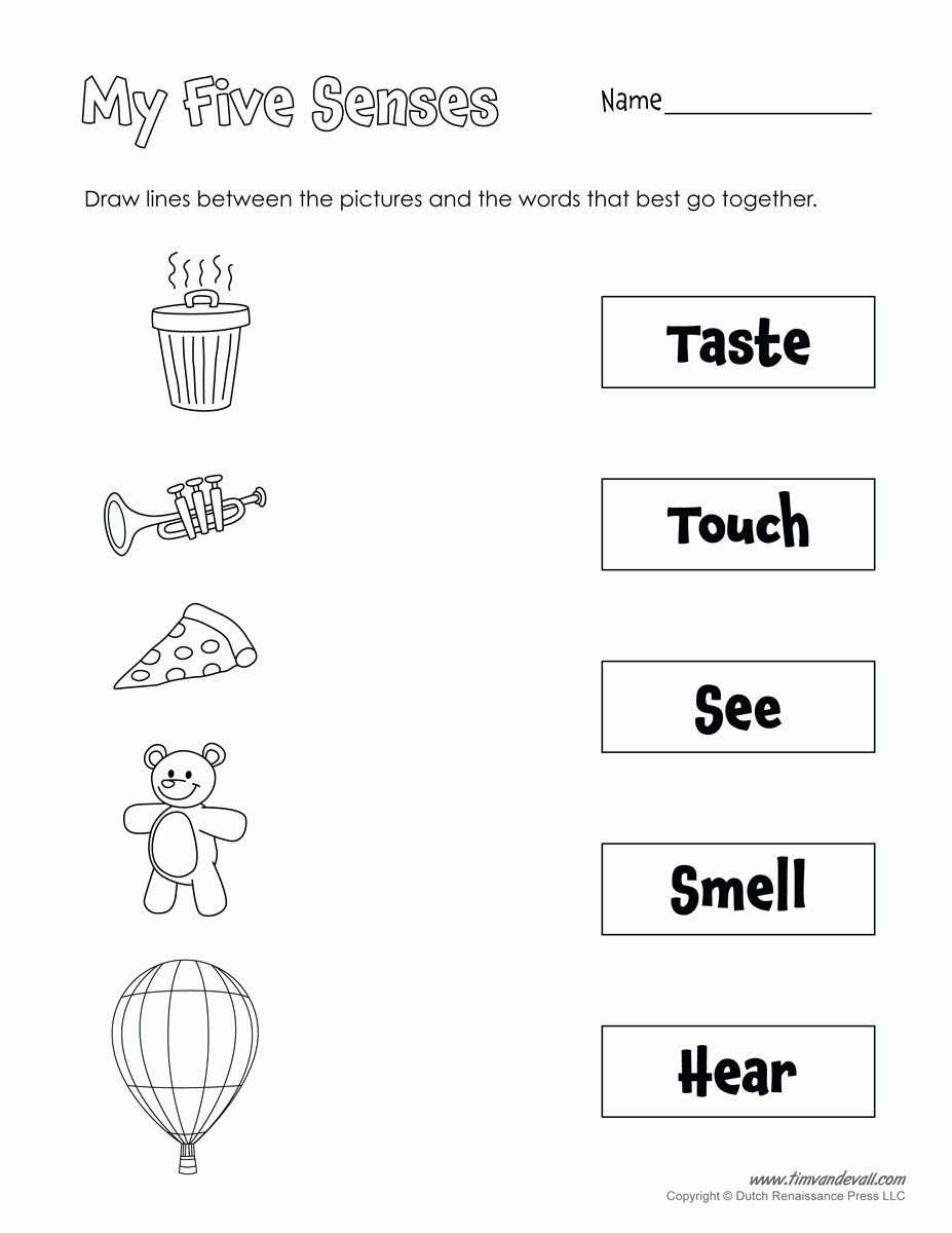20 Free Printable 5 Senses Worksheets For Kindergarten - Free Printable Worksheets Kindergarten Five Senses