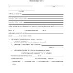 45 Free Promissory Note Templates & Forms [Word & Pdf] ᐅ Template Lab   Free Printable Simple Promissory Note
