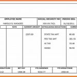 5+ 1099 Pay Stub Template Free | Secure Paystub   Free Printable Paycheck Stubs