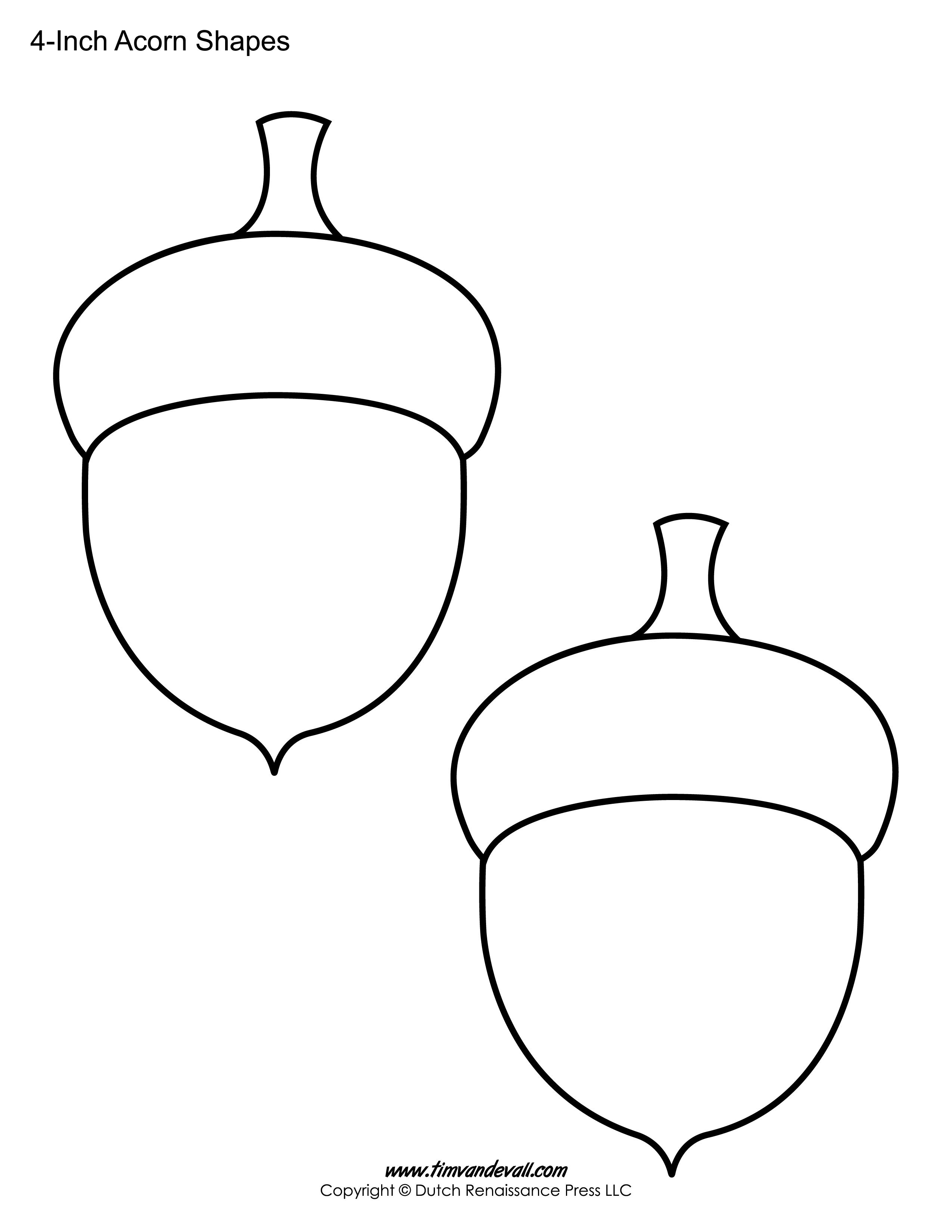 Printable acorn template