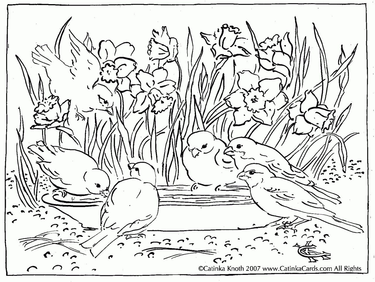 Adult Coloring Pages Free Spring - Coloring Home - Free Printable Spring Coloring Pages For Adults