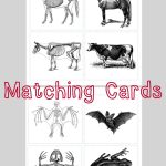 Animal Skeleton Matching Cards | احياء | Animal Skeletons, Animal   Free Printable Animal X Rays