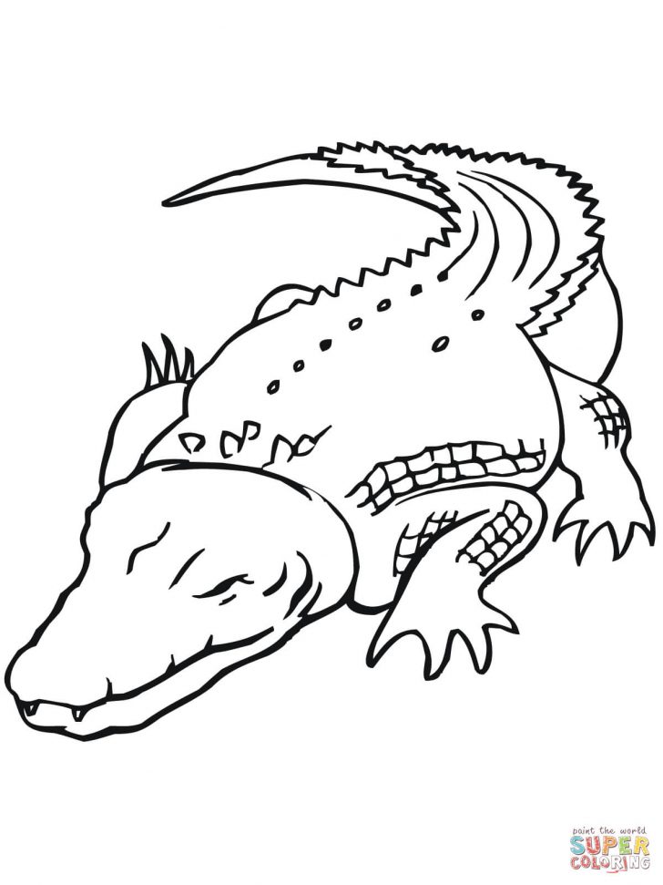 Free Printable Pictures Of Crocodiles
