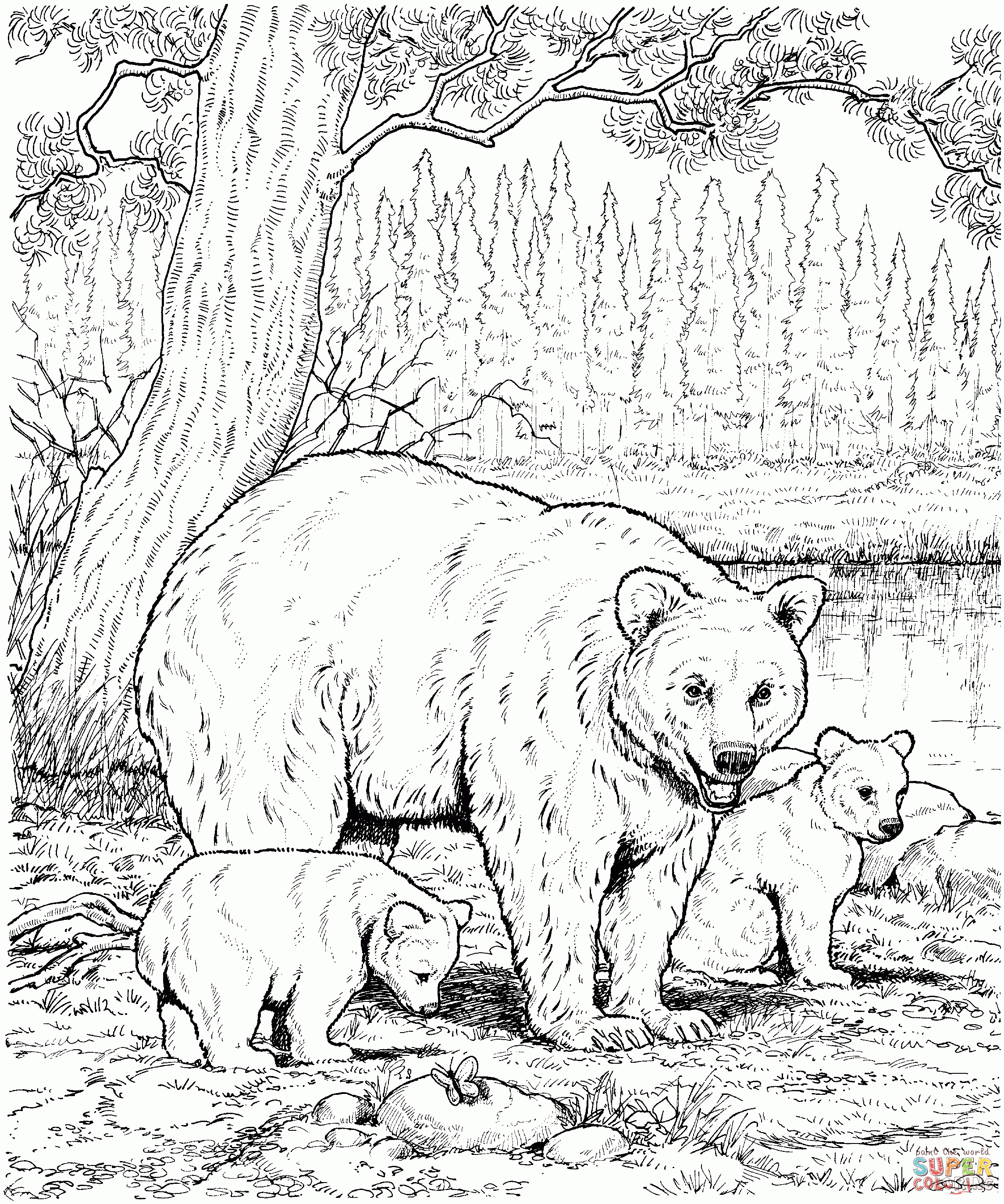 Mammal Coloring Sheets Coloring Pages