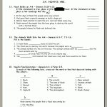 Bible Study Worksheets For Volume 1 Adam And Eve, Noah And The Ark   Free Printable Bible Study Lessons With Questions And Answers