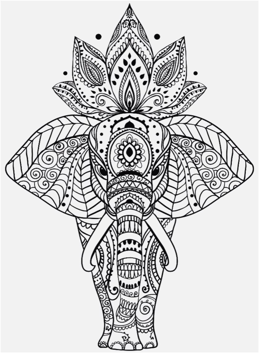 Coloring Book World ~ Splendi Mandala Coloring Pages Pdf The - Free Printable Mandalas Pdf