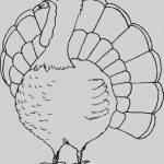Coloring Ideas : Coloring Ideas Free Printable Turkey Pages   Free Printable Turkey