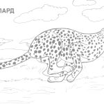 Coloring Ideas : Wild Animal Coloring Sheets Image Inspirations   Free Printable Wild Animal Coloring Pages