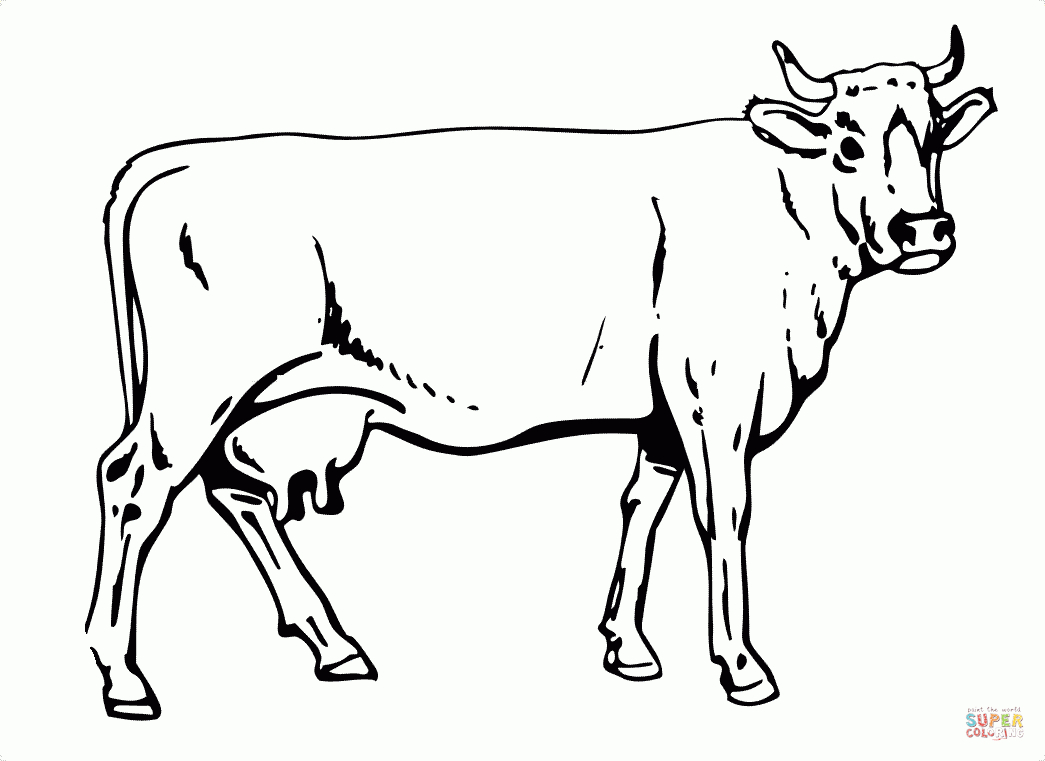 Cow Coloring Page | Free Printable Coloring Pages - Coloring Pages Of Cows Free Printable
