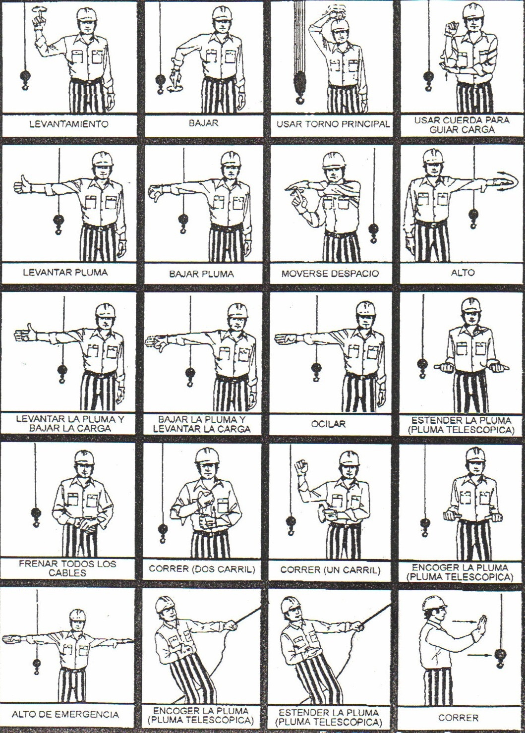 Church usher ribbons - specmens
