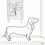 Dachshund Coloring Page | Free Printable Coloring Pages   Free Printable Dachshund Coloring Pages