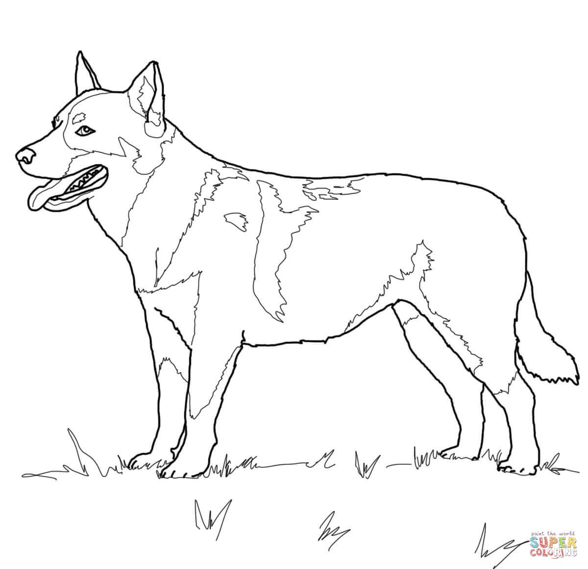 Dachshund Dog Coloring Page Free Printable Coloring Pages Color - Free Printable Dachshund Coloring Pages