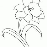 Daffodil Coloring Pages | Clipart Misc | Spring Coloring Pages   Free Printable Pictures Of Daffodils