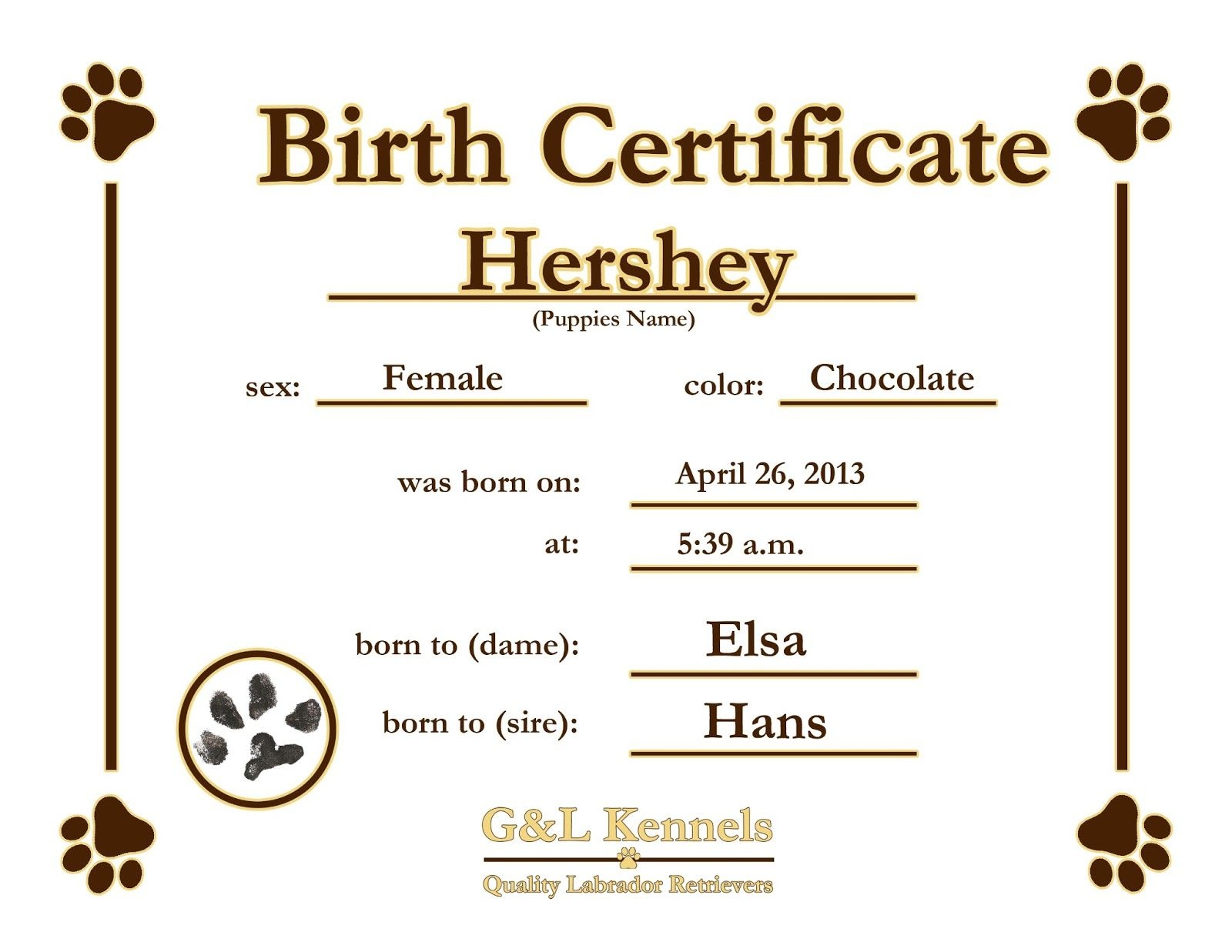 Dog Birth Certificate Template Puppy Birth Certificates | C&amp;amp;j&amp;#039;s Pup - Free Printable Birth Certificates For Puppies