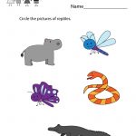Earth Science Worksheet   Free Kindergarten Learning Worksheet For Kids   Free Printable Worksheets For Kids Science